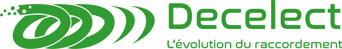 Logo Decelect 2021-LINEAIRE